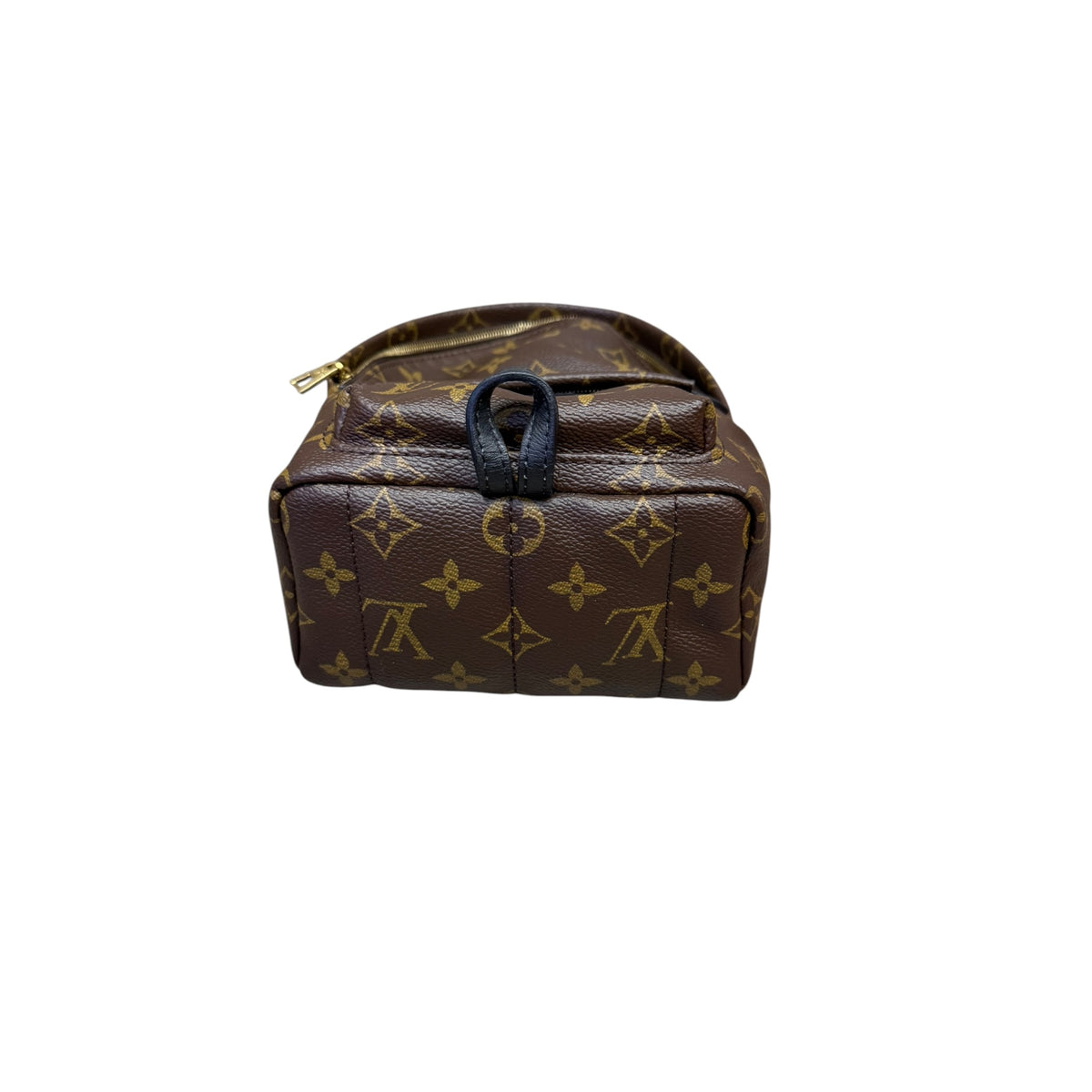 LOUIS VUITTON ZAINO PALM SPRINGS