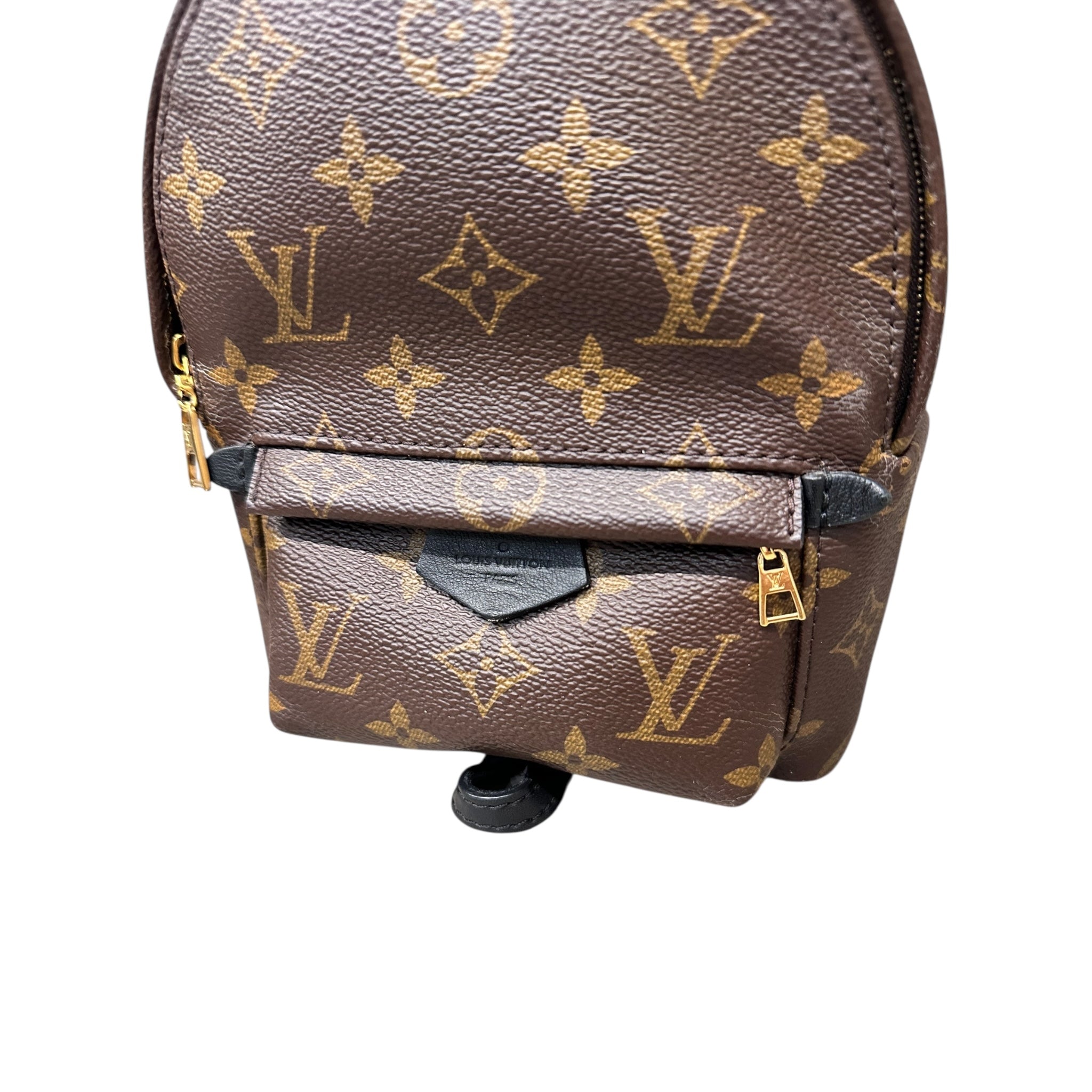 LOUIS VUITTON ZAINO PALM SPRINGS