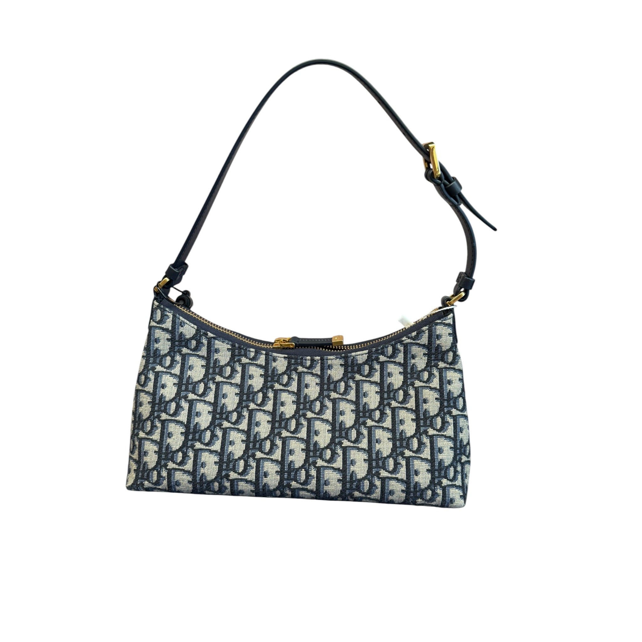 DIOR HOBO Cigale 30 Montaigne