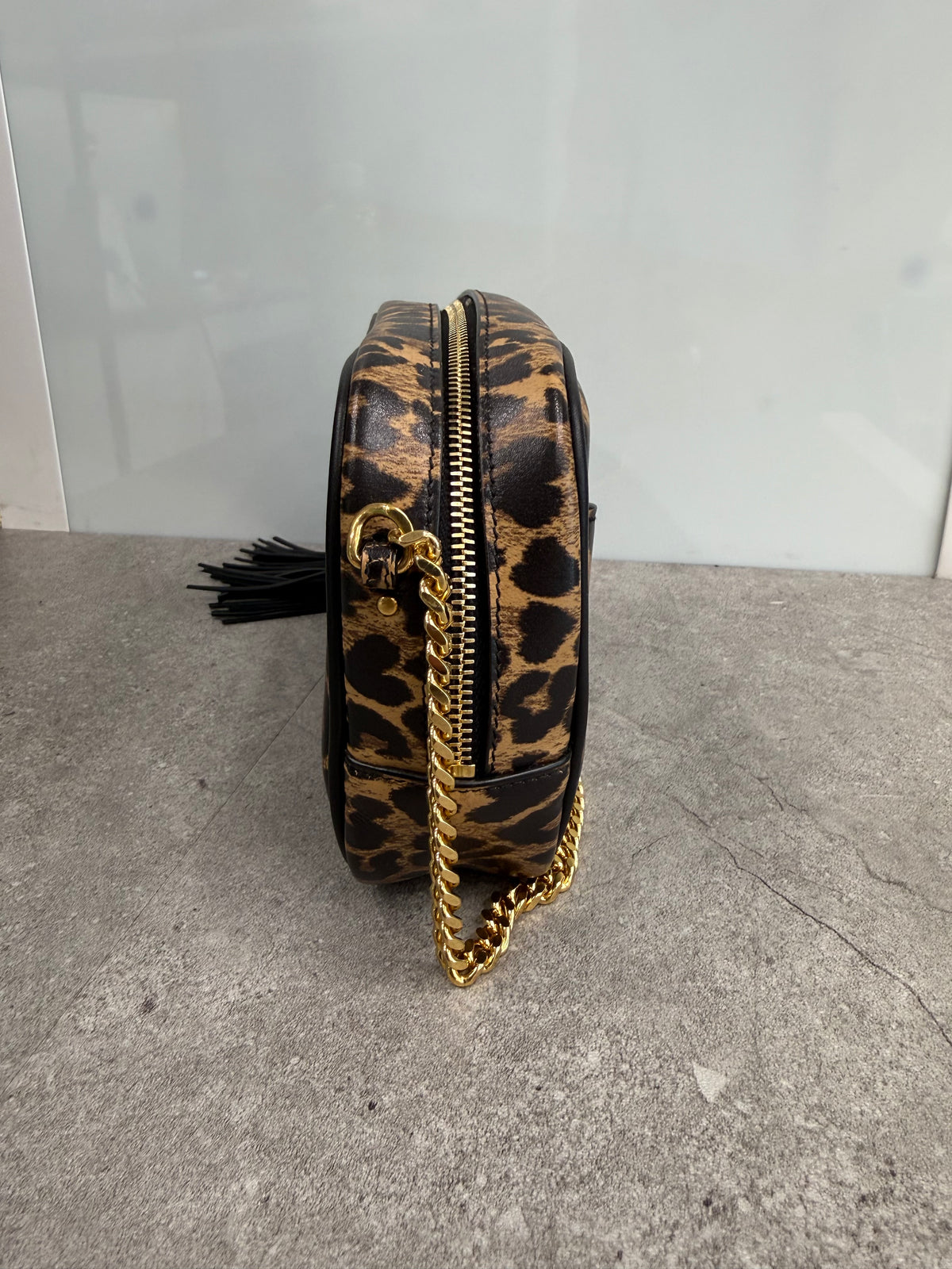 YSL CAMERA BAG