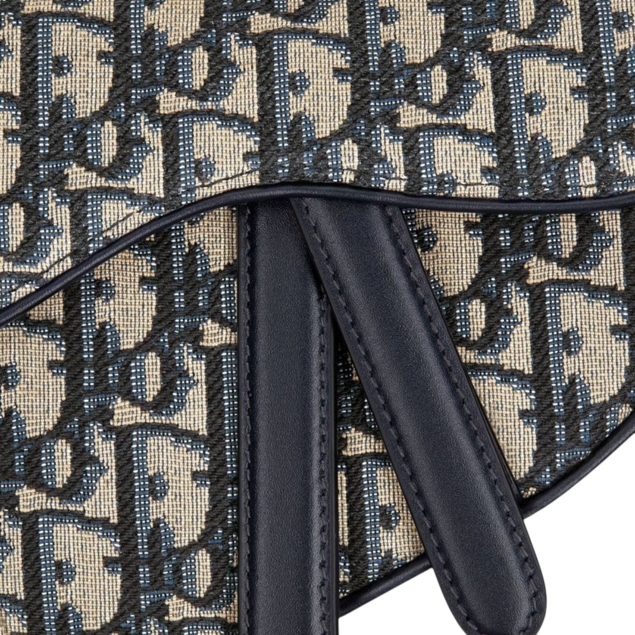 DIOR SADDLE