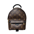 LOUIS VUITTON ZAINO PALM SPRINGS
