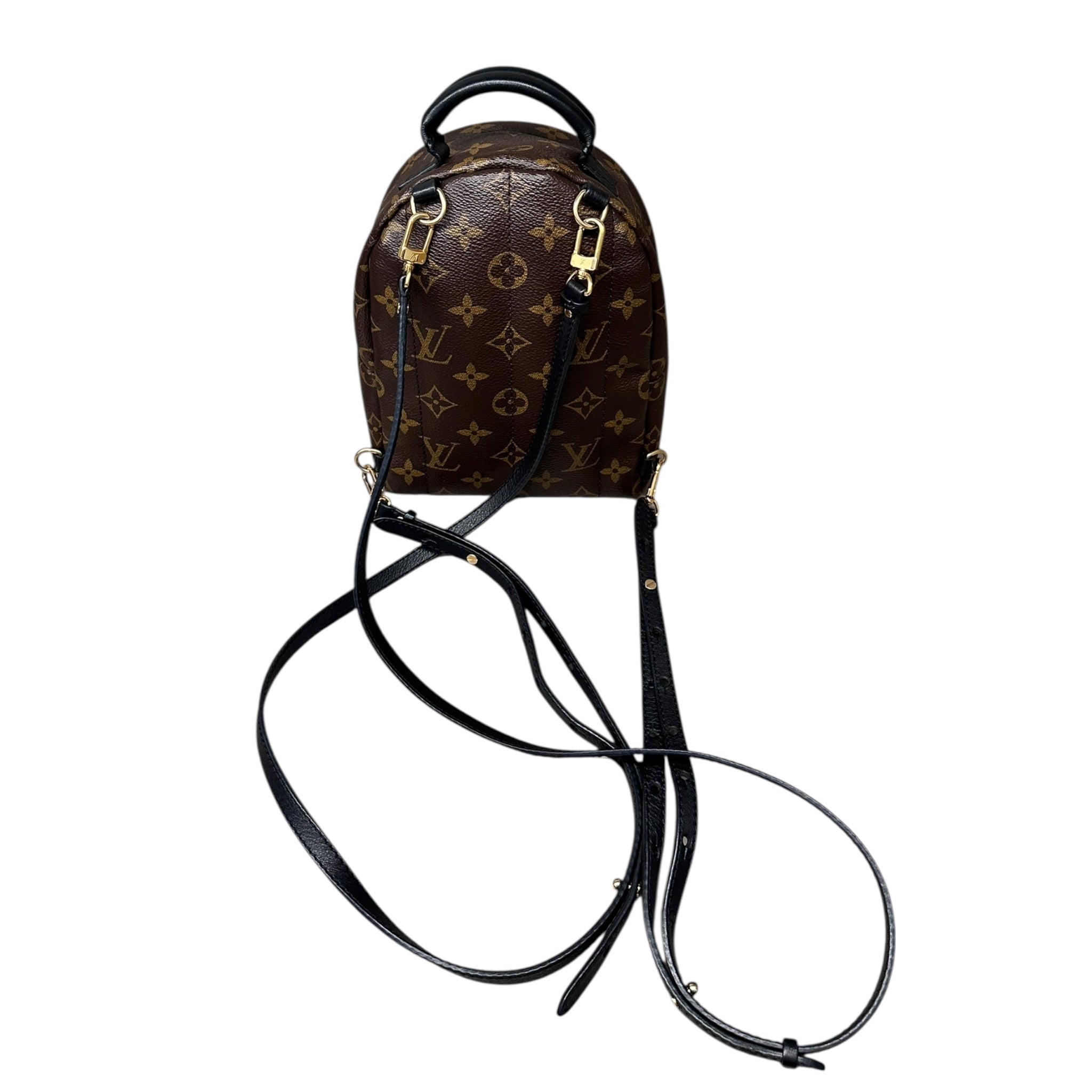 LOUIS VUITTON ZAINO PALM SPRINGS