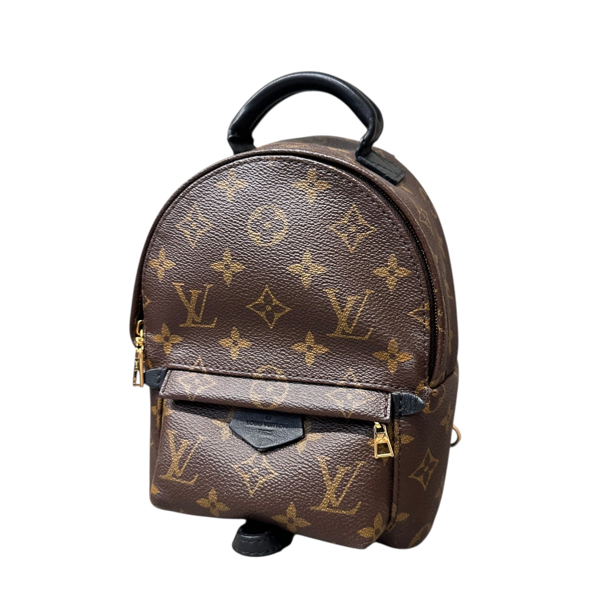 LOUIS VUITTON ZAINO PALM SPRINGS