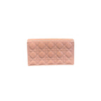 DIOR POUCH WOC
