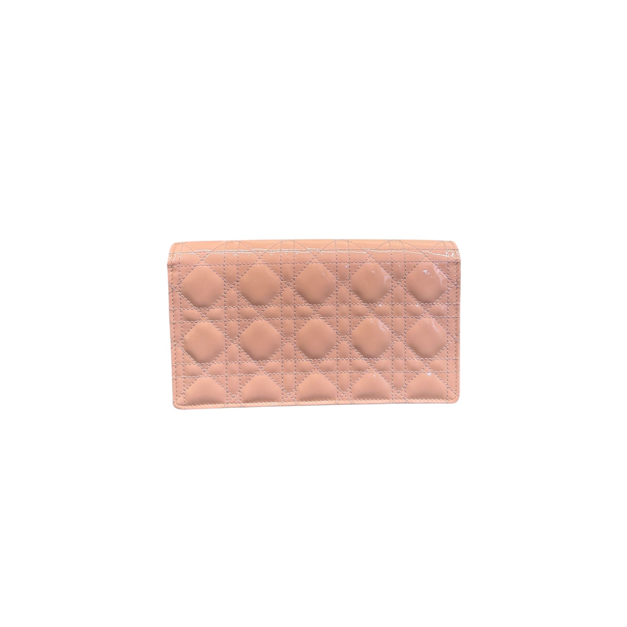 DIOR POUCH WOC