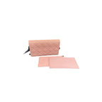 DIOR POUCH WOC