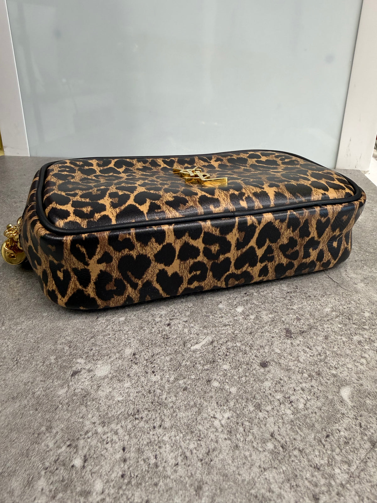 YSL CAMERA BAG
