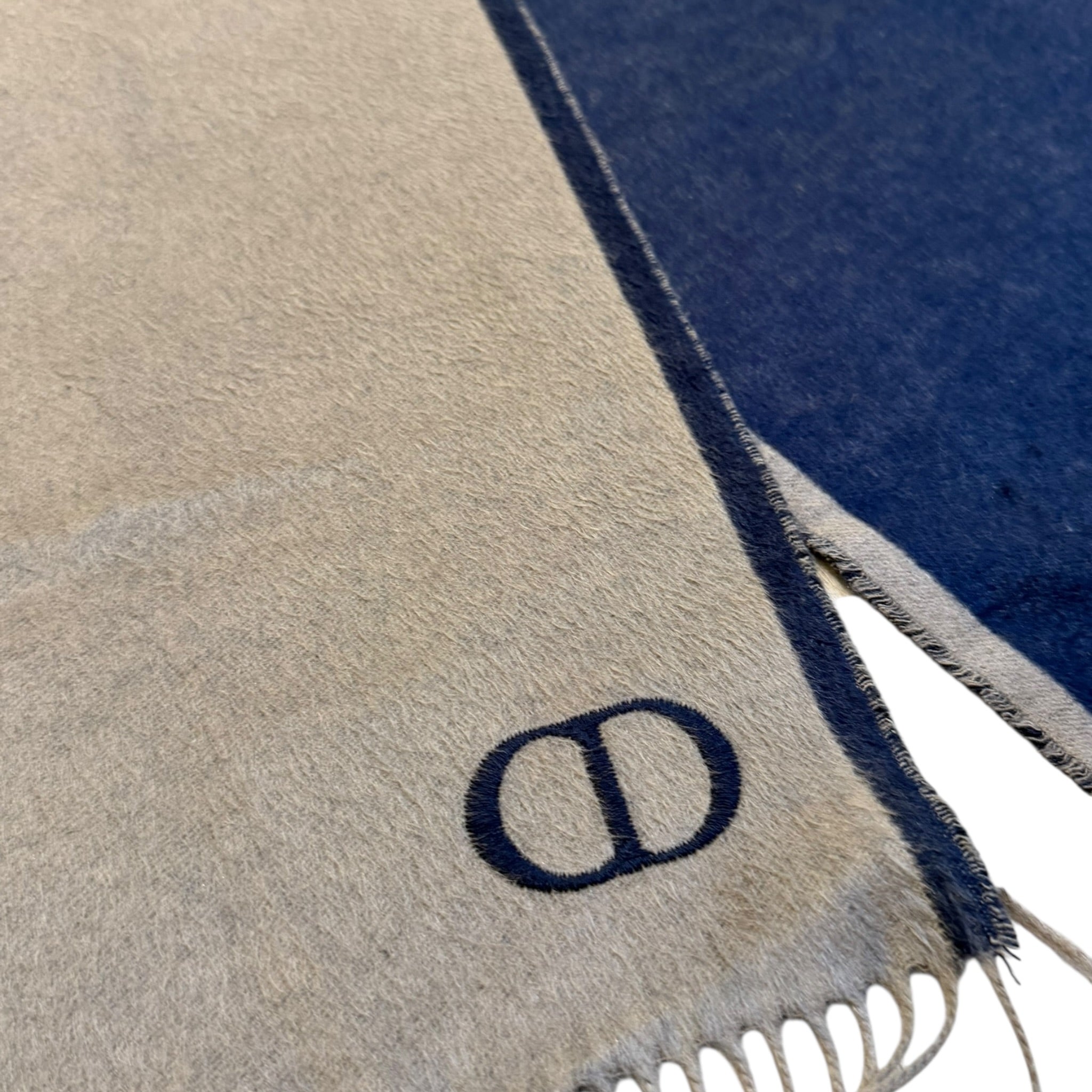DIOR SCIARPA