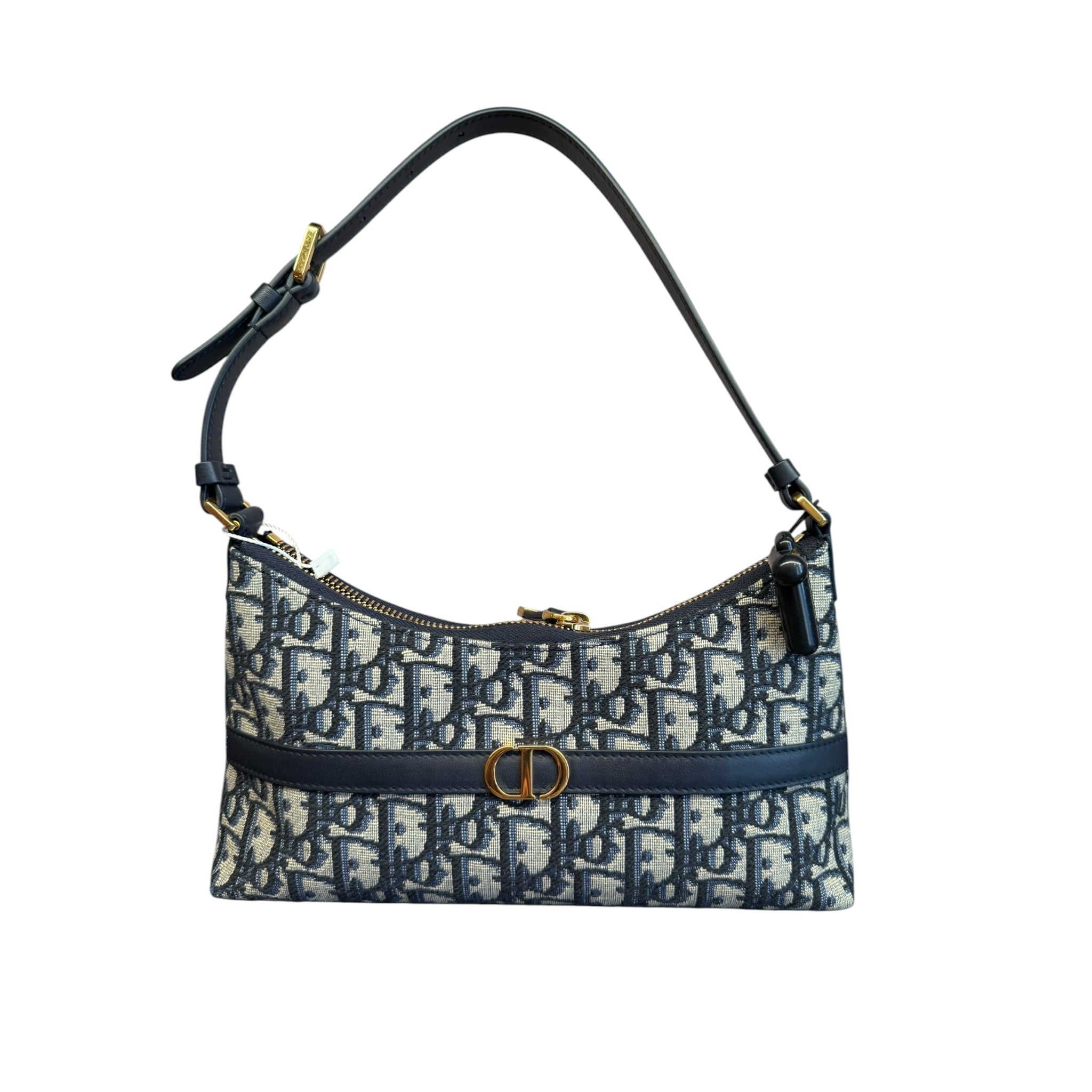 DIOR HOBO Cigale 30 Montaigne