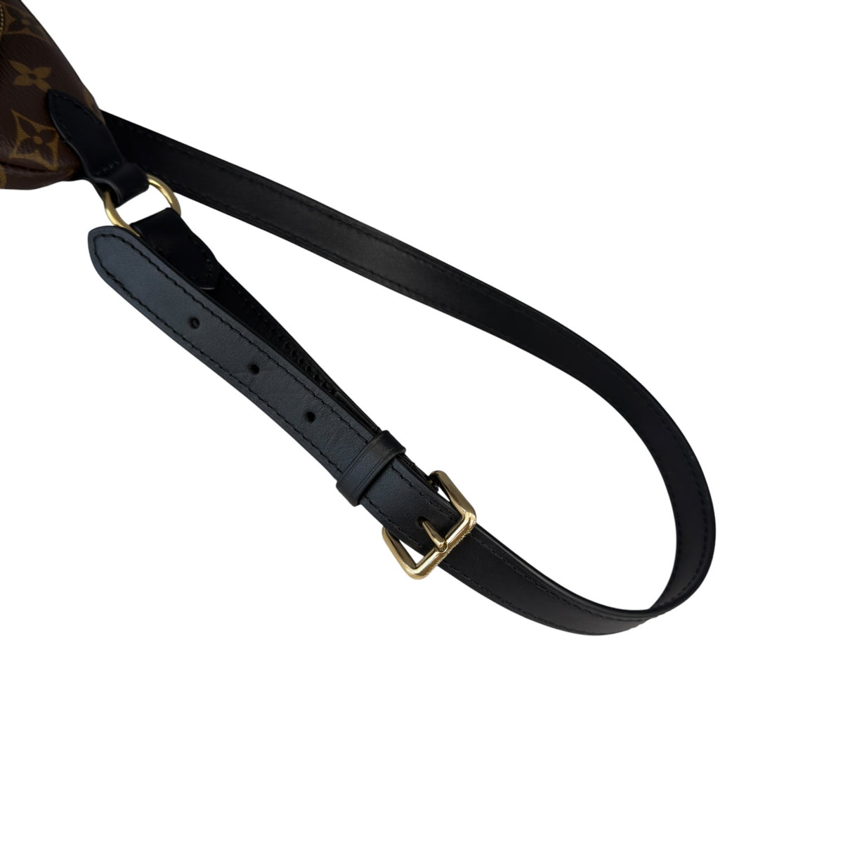 Louis Vuitton Keepit Marsupio Monogram