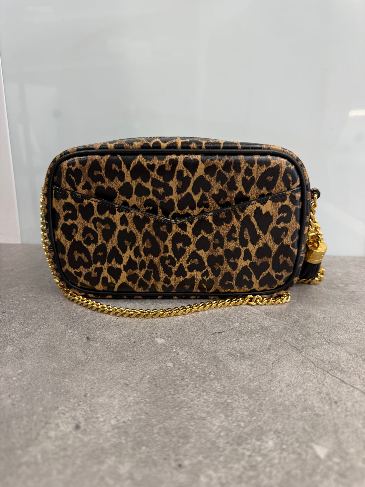 YSL CAMERA BAG