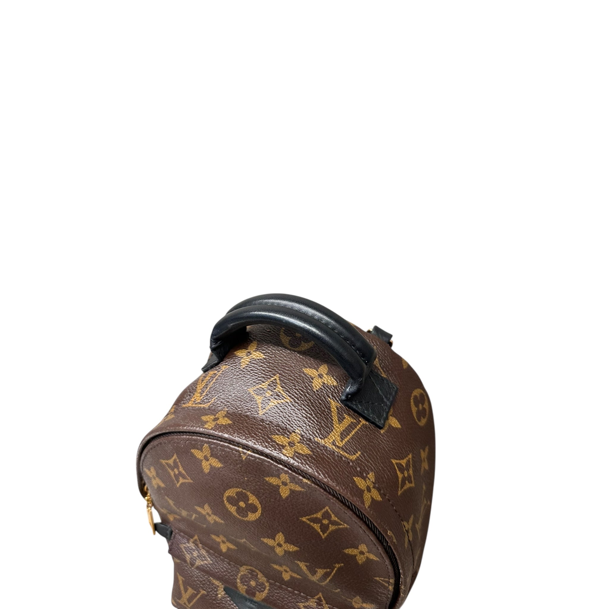 LOUIS VUITTON ZAINO PALM SPRINGS