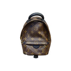 LOUIS VUITTON ZAINO PALM SPRINGS