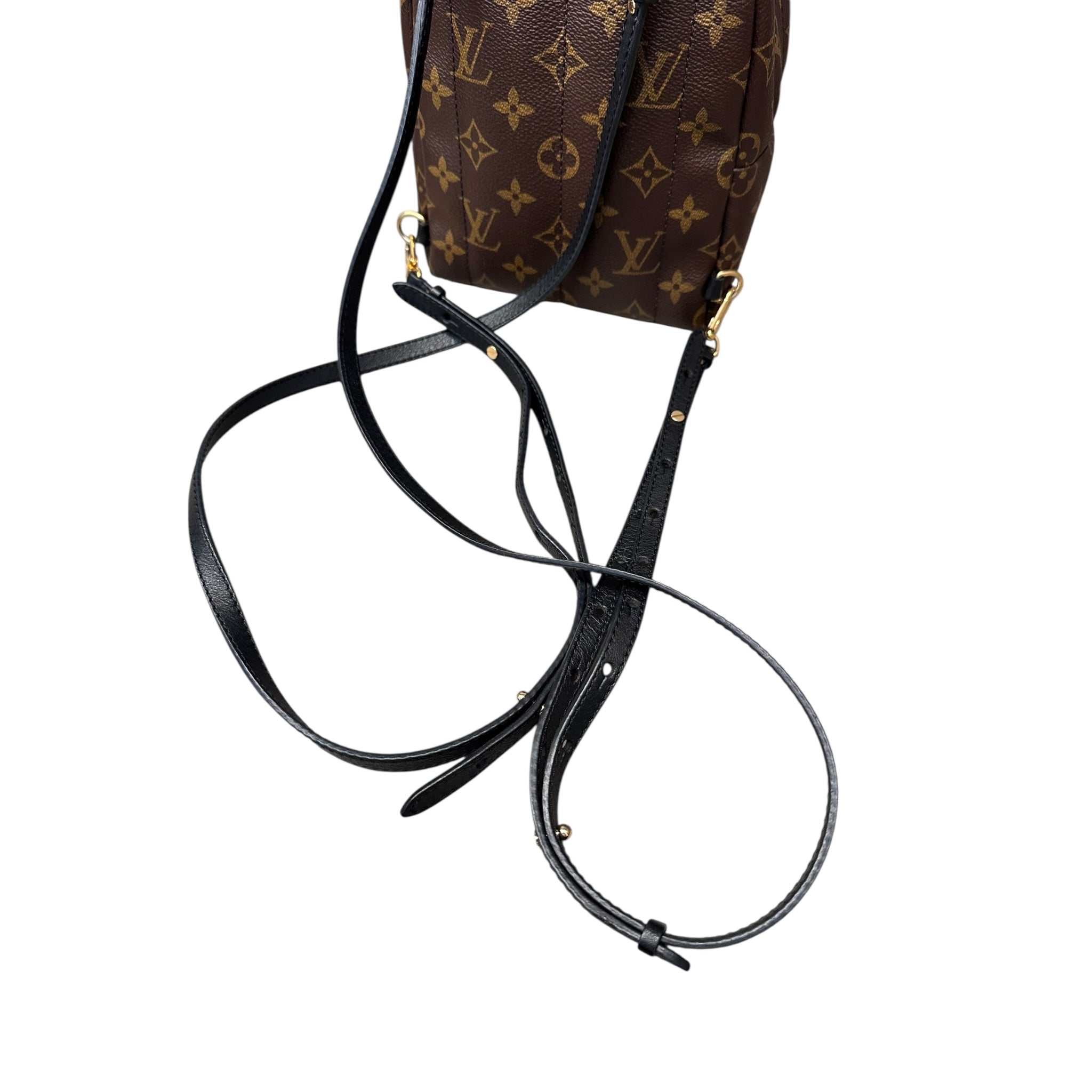 LOUIS VUITTON ZAINO PALM SPRINGS