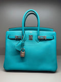 Hermes Birkin 25