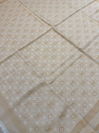 LOUIS VUITTON SCIARPONE